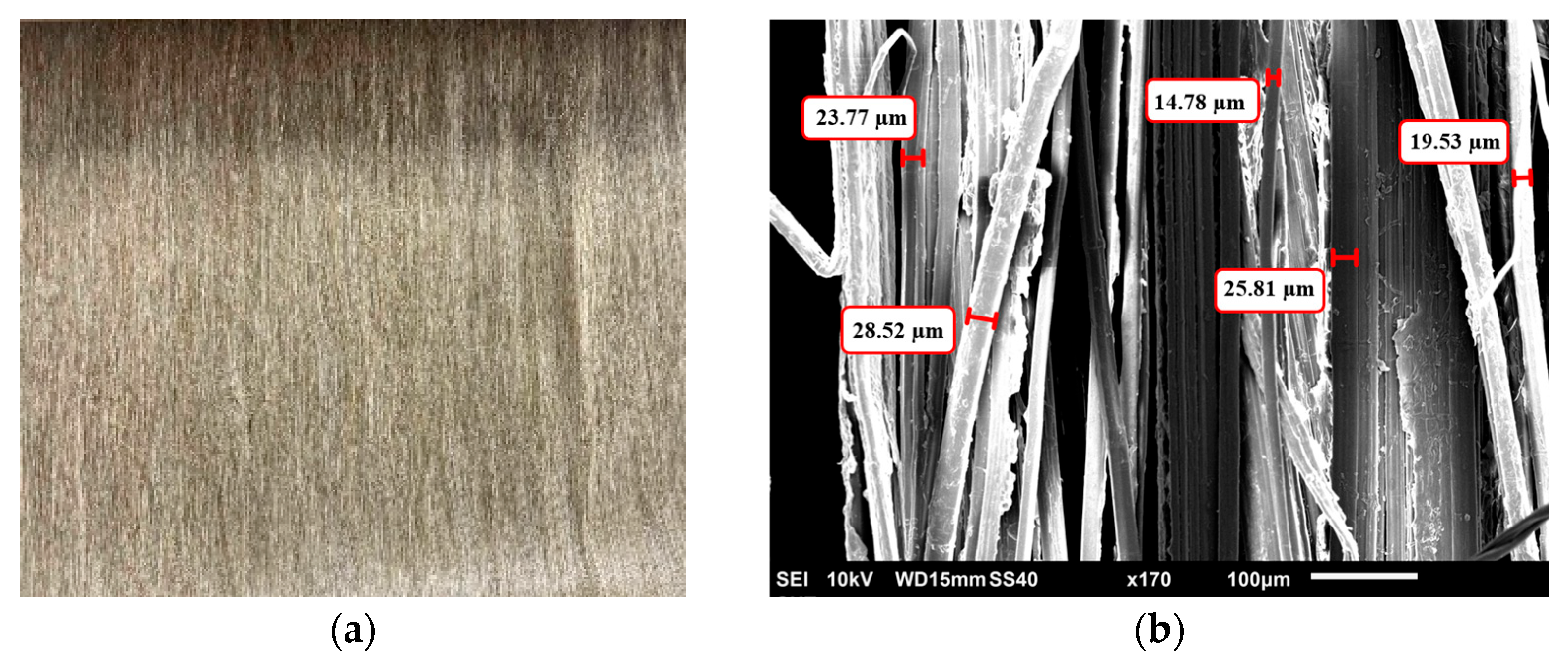Fibers 13 00142 g001