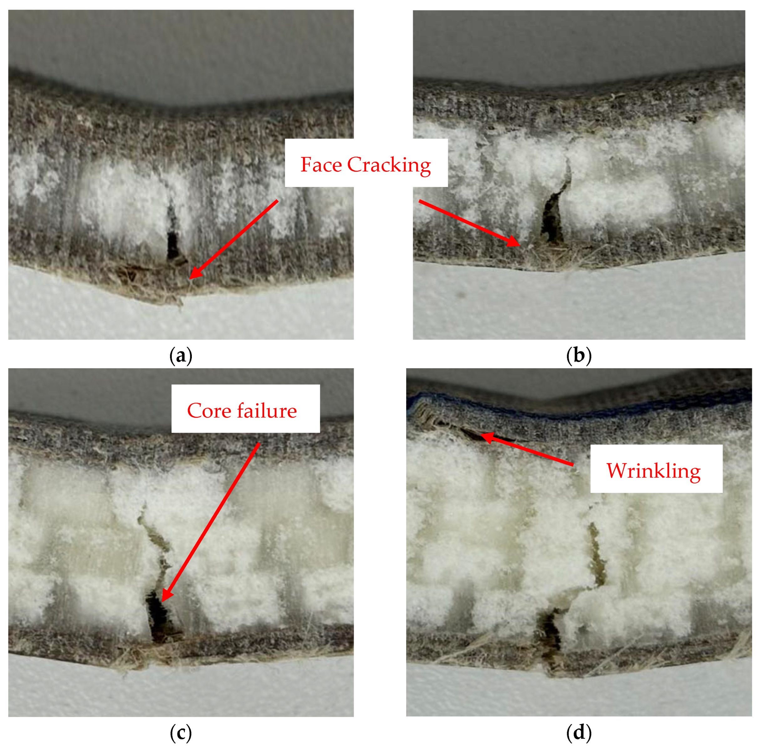 Fibers 13 00142 g017