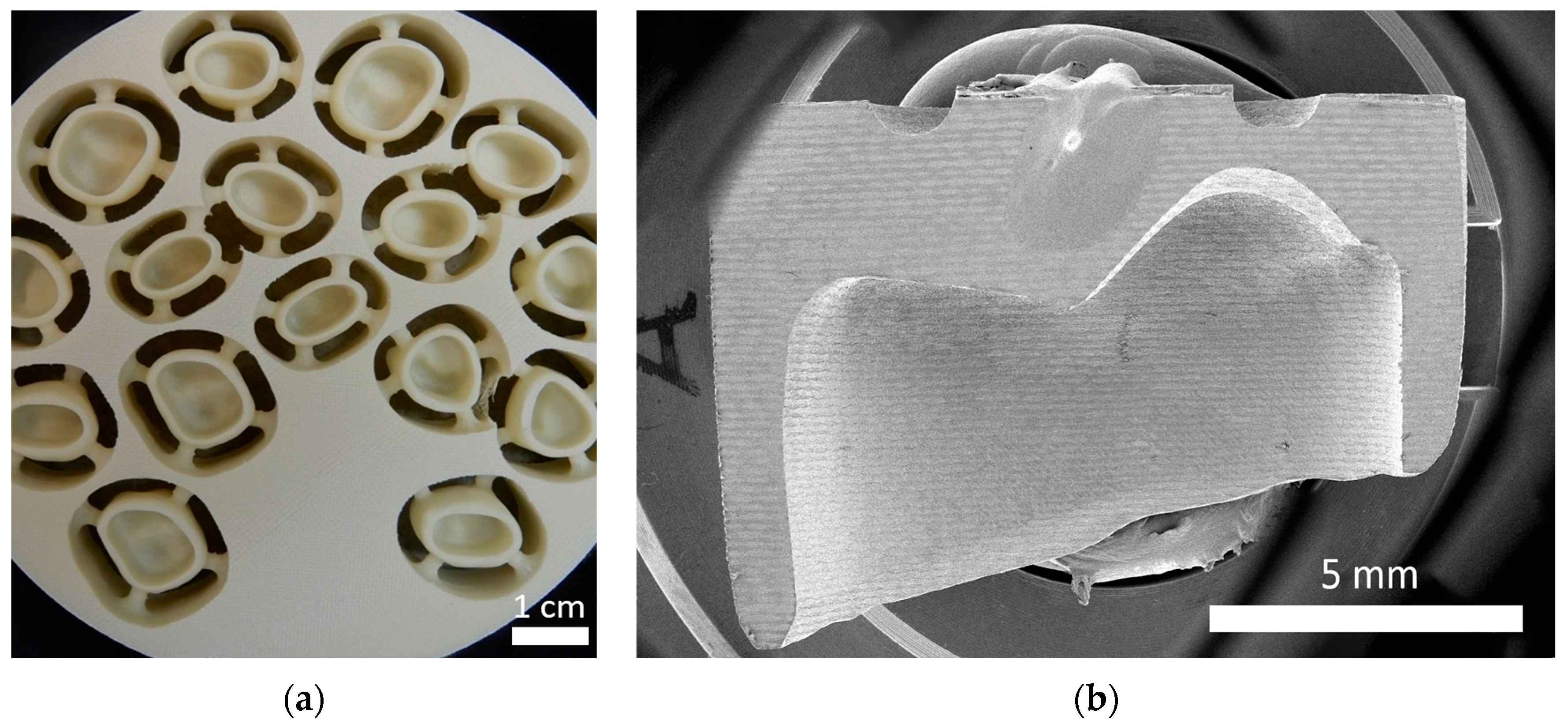 Fibers 13 00144 g001