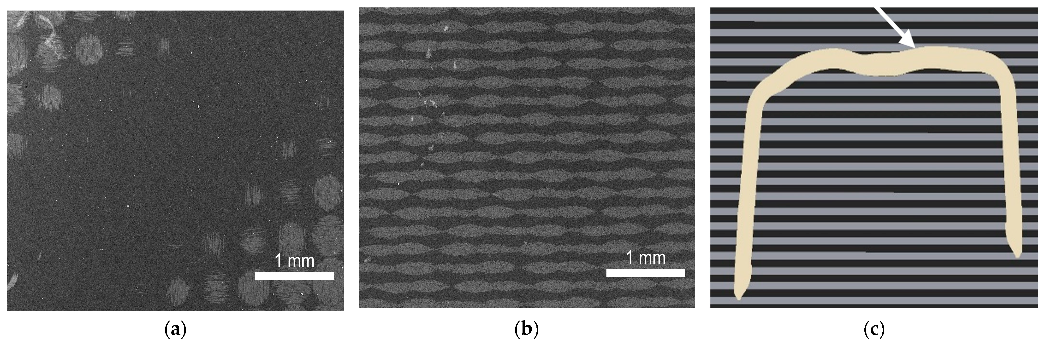 Fibers 13 00144 g002