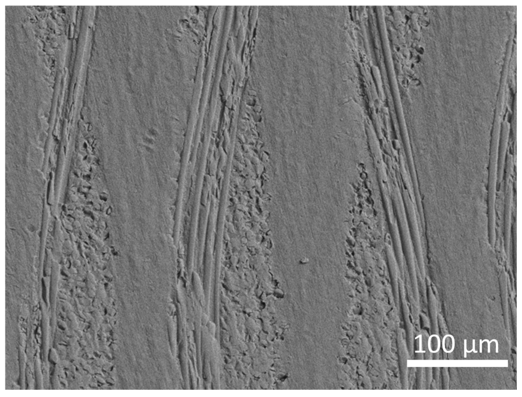 Fibers 13 00144 g003