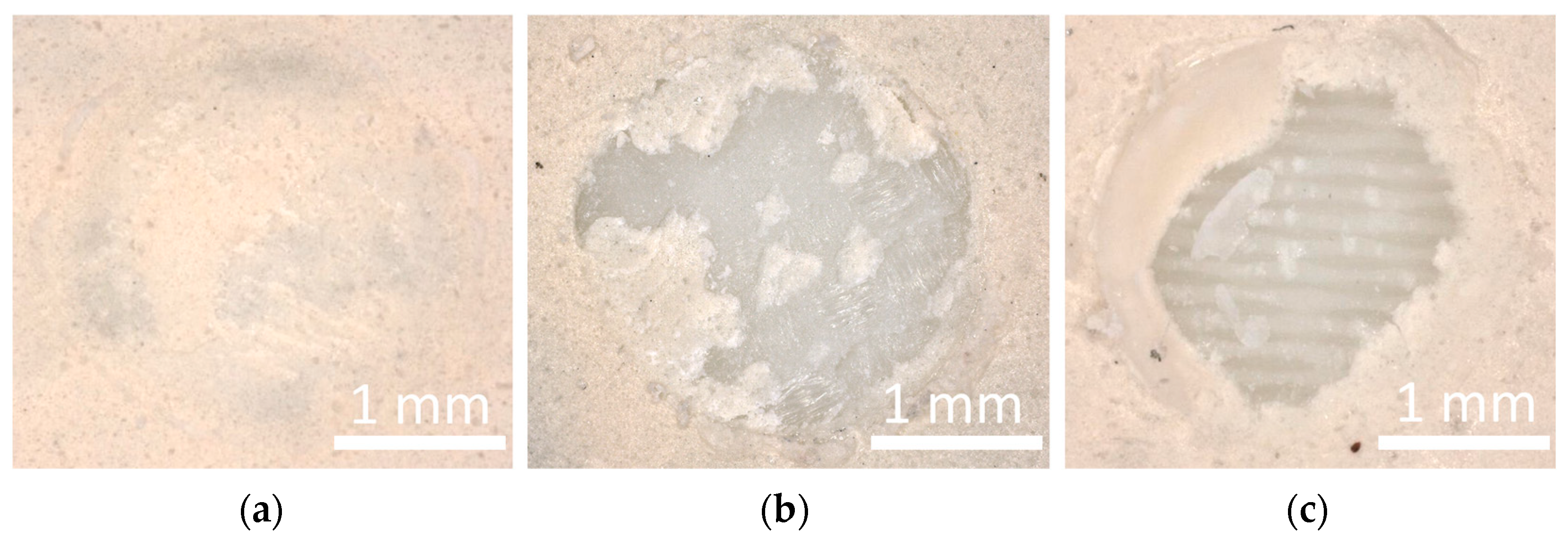 Fibers 13 00144 g008