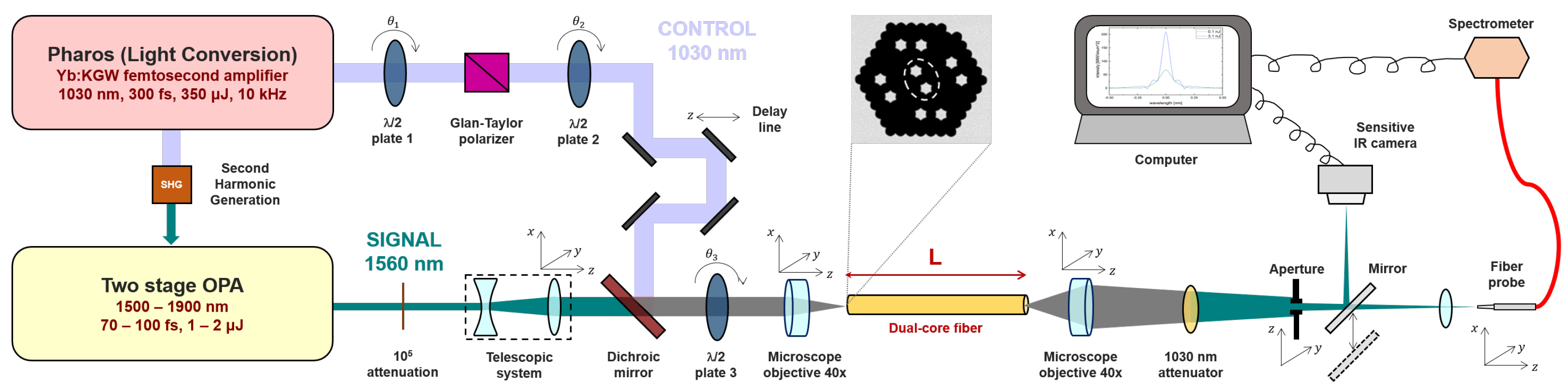 Fibers 13 00146 g001