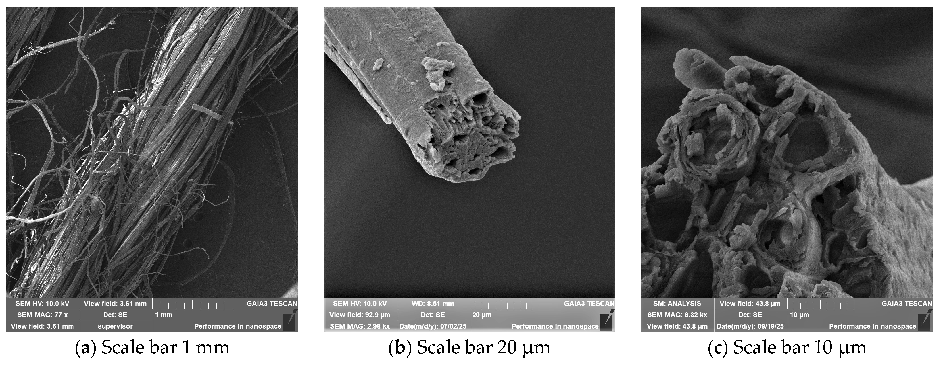 Fibers 13 00148 g009a Fibers 13 00148 g009a