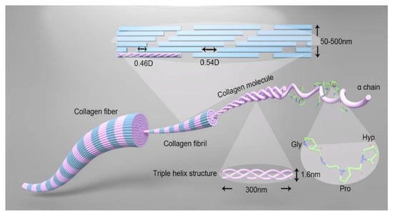 Fibers 13 00149 g001