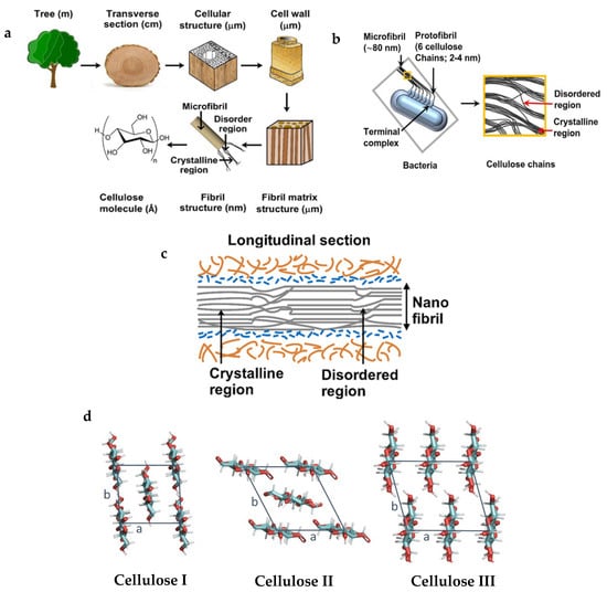 Fibers 13 00149 g002
