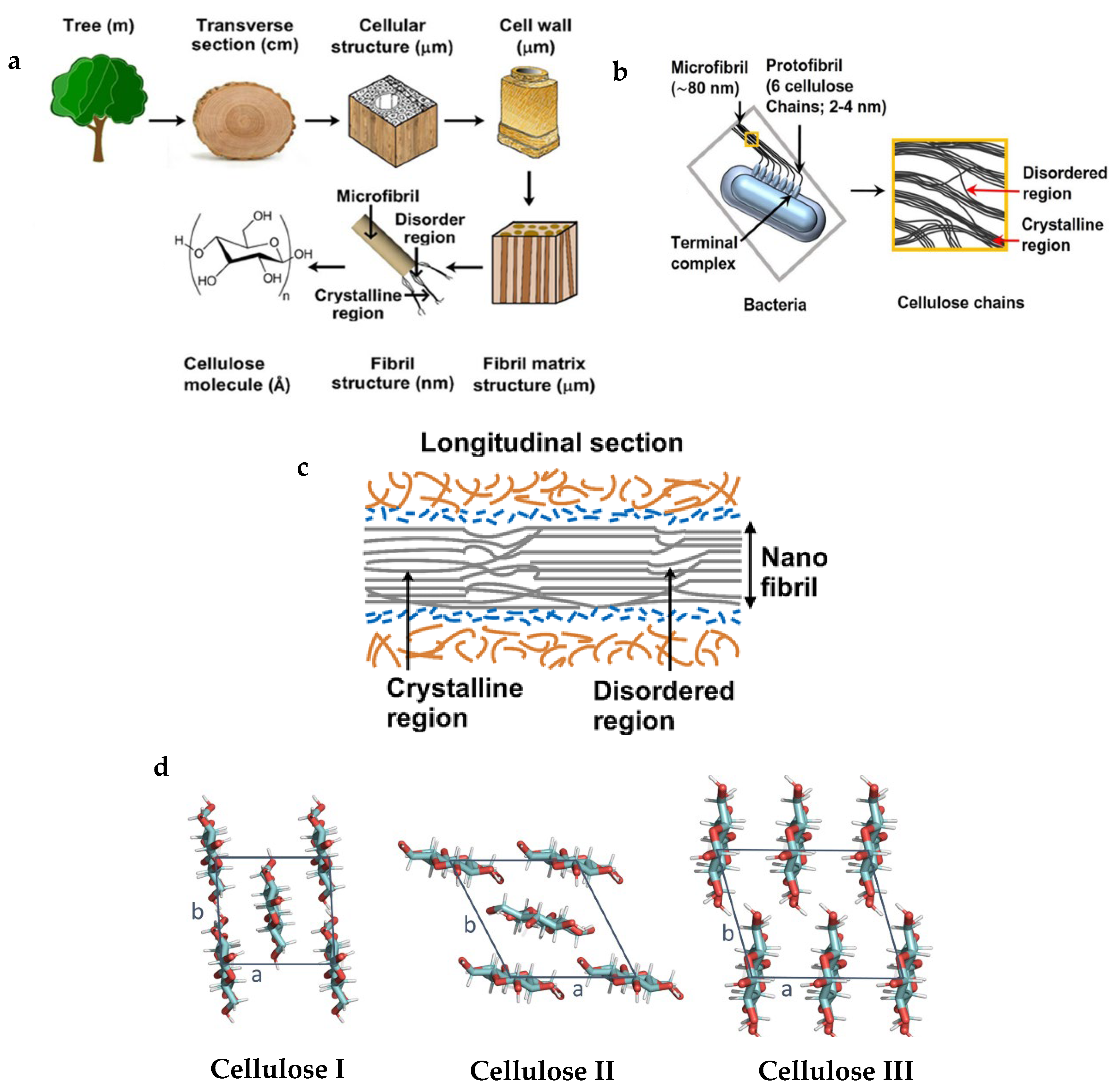 Fibers 13 00149 g002