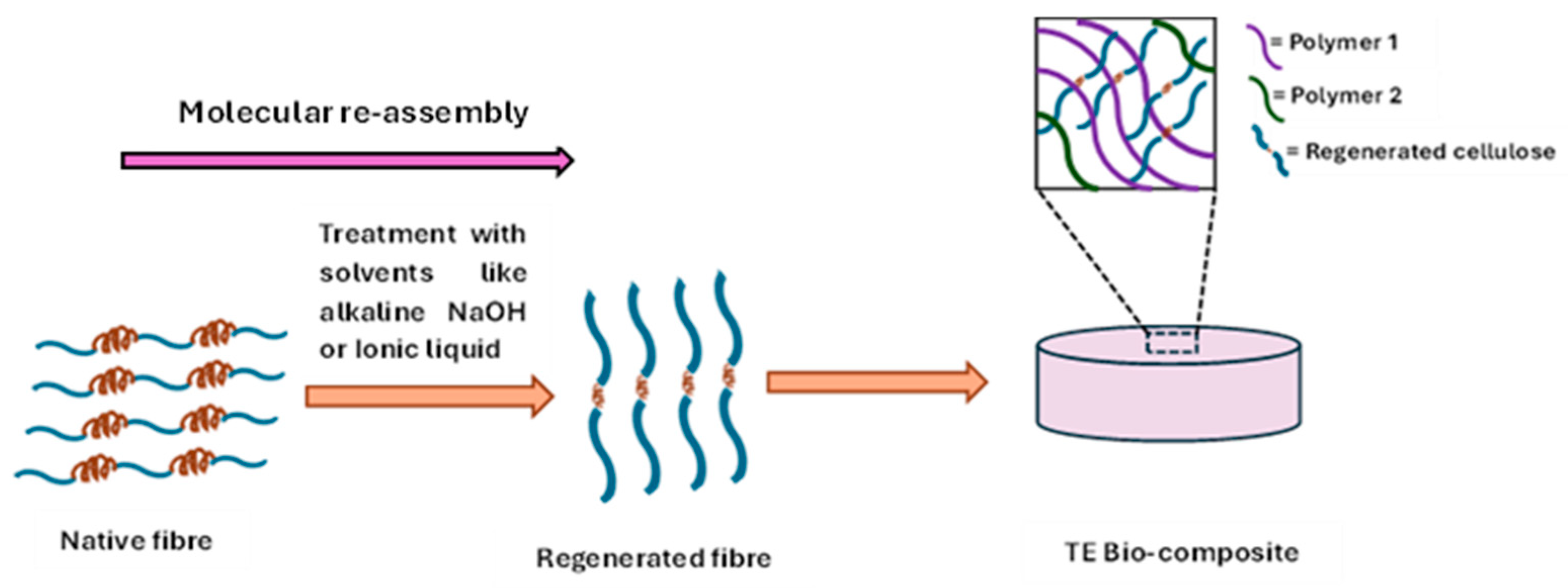 Fibers 13 00149 g003