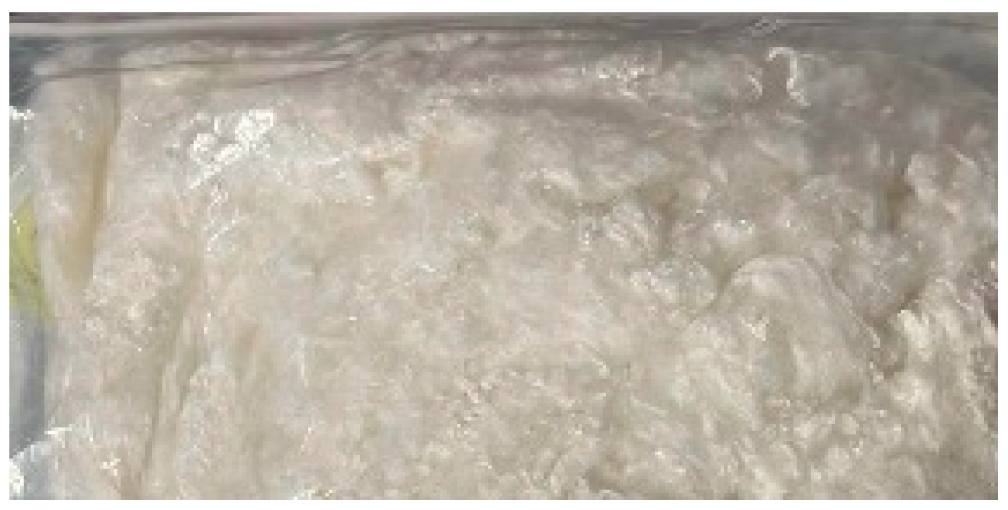 Fibers 13 00159 g001