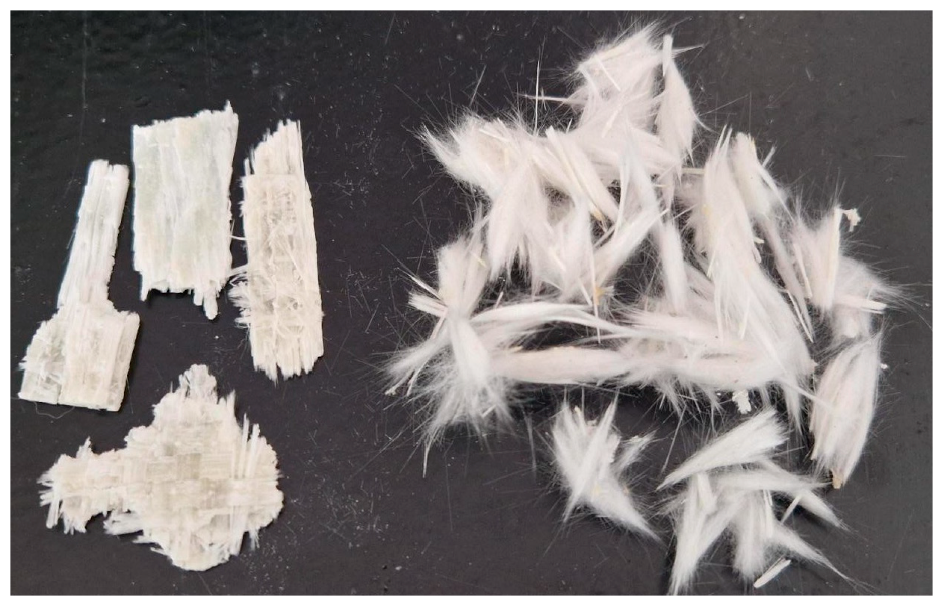 Fibers 13 00163 g001