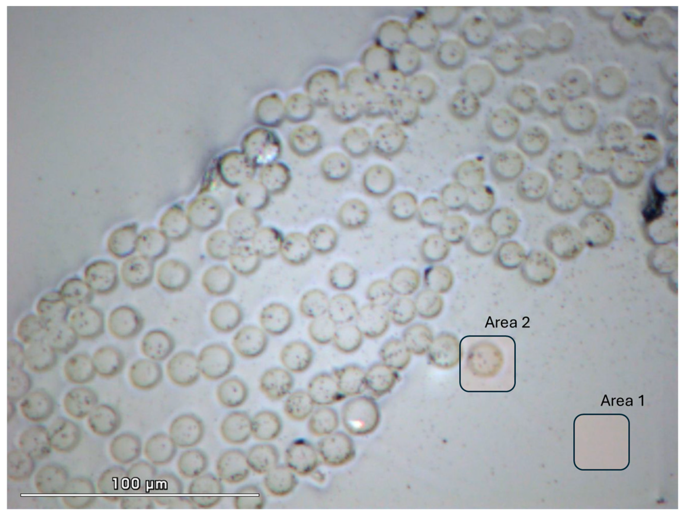 Fibers 13 00163 g005