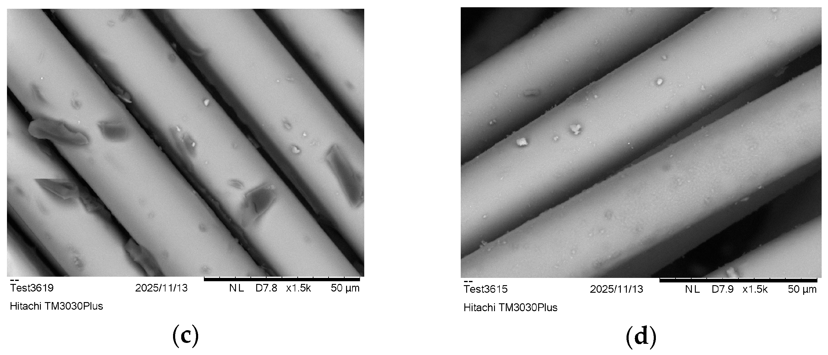 Fibers 13 00163 g009b