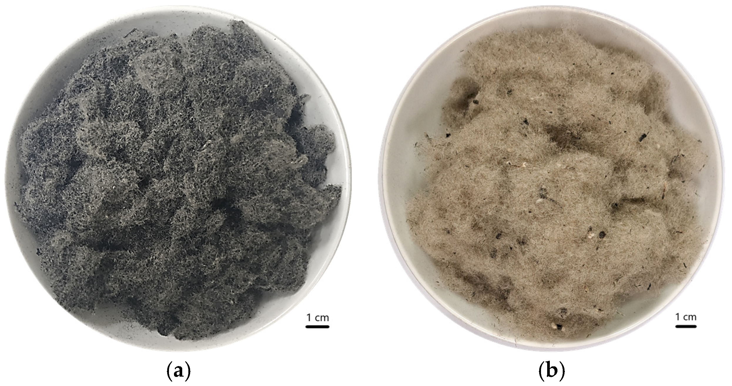 Fibers 13 00165 g001 Fibers 13 00165 g001