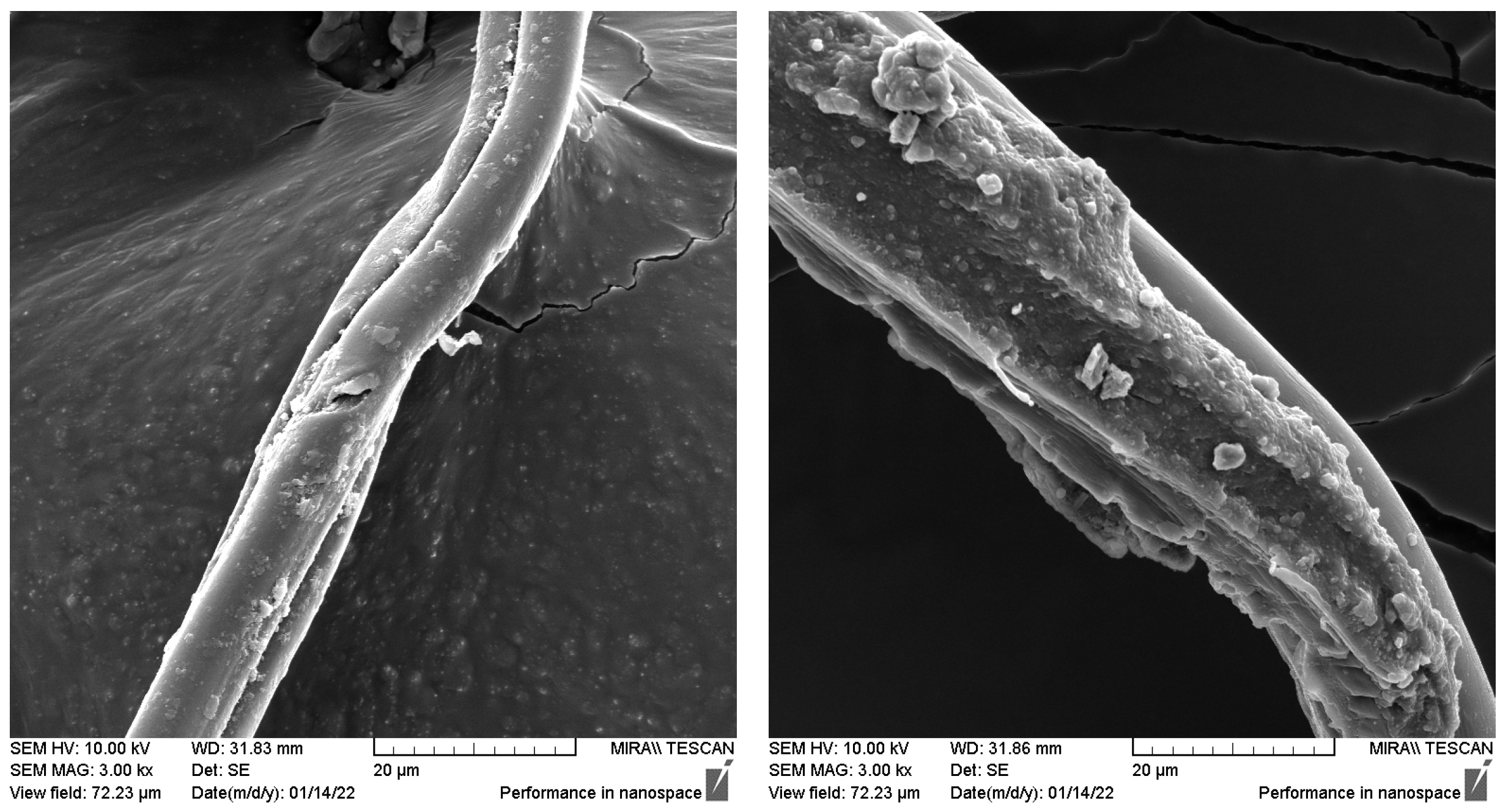 Fibers 13 00165 g002 Fibers 13 00165 g002