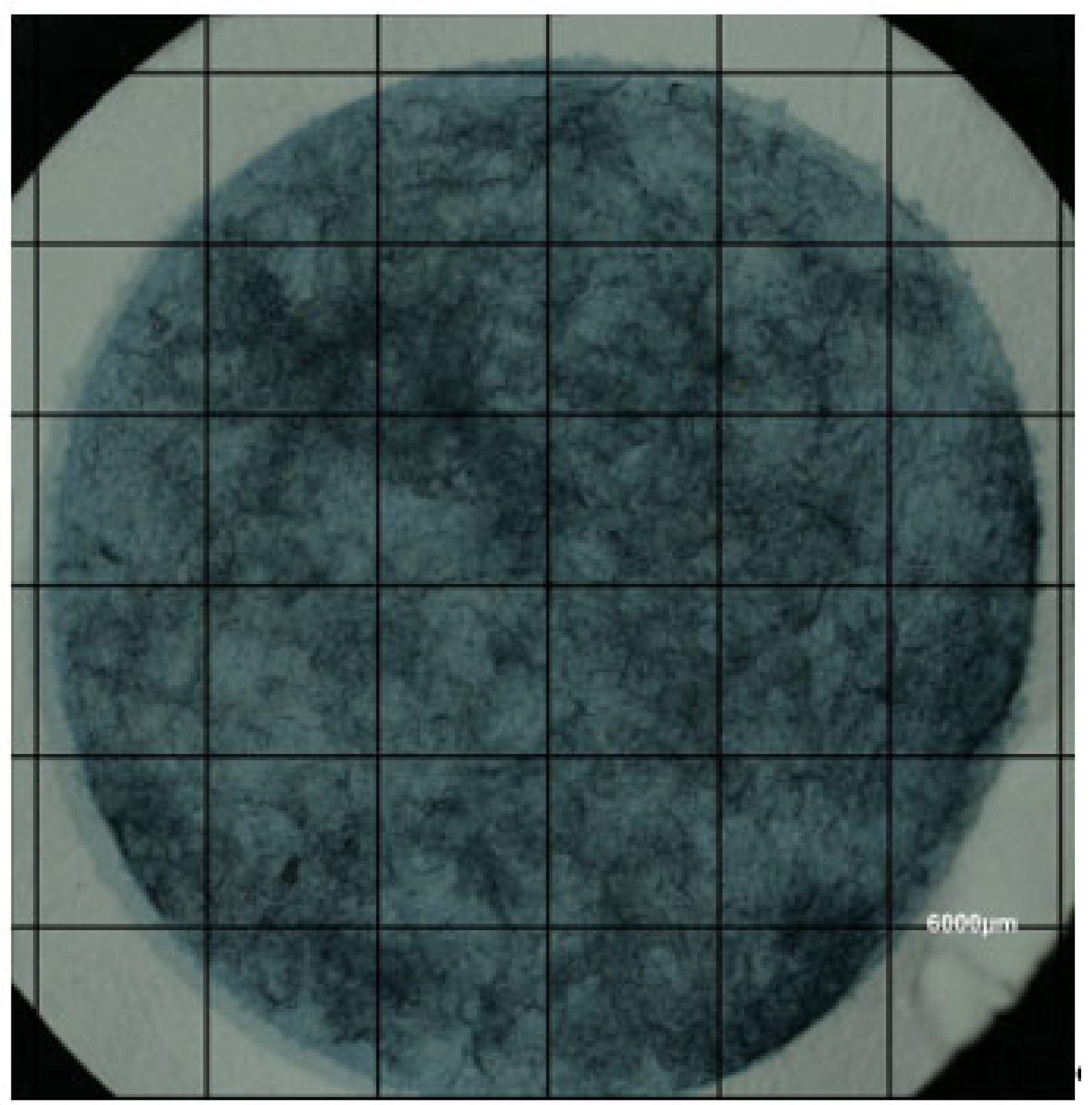 Fibers 13 00166 g002