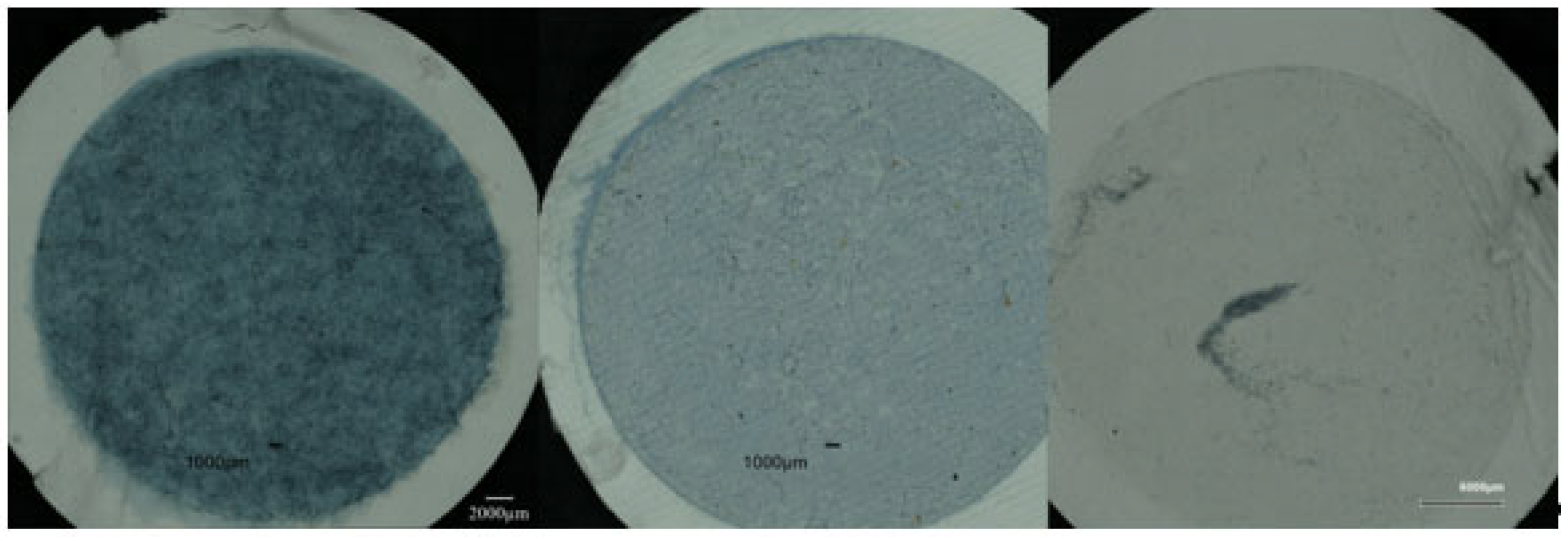 Fibers 13 00166 g003