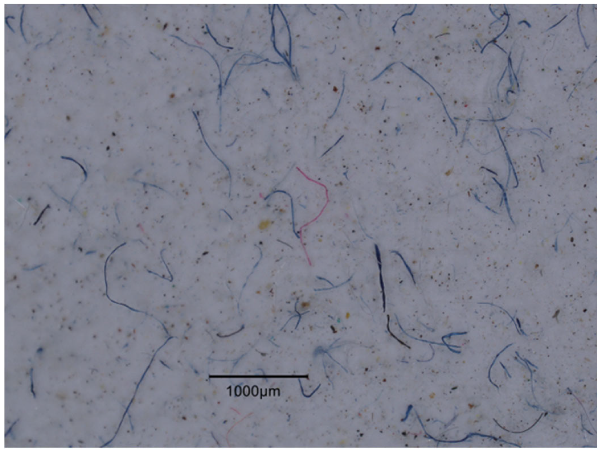 Fibers 13 00166 g004
