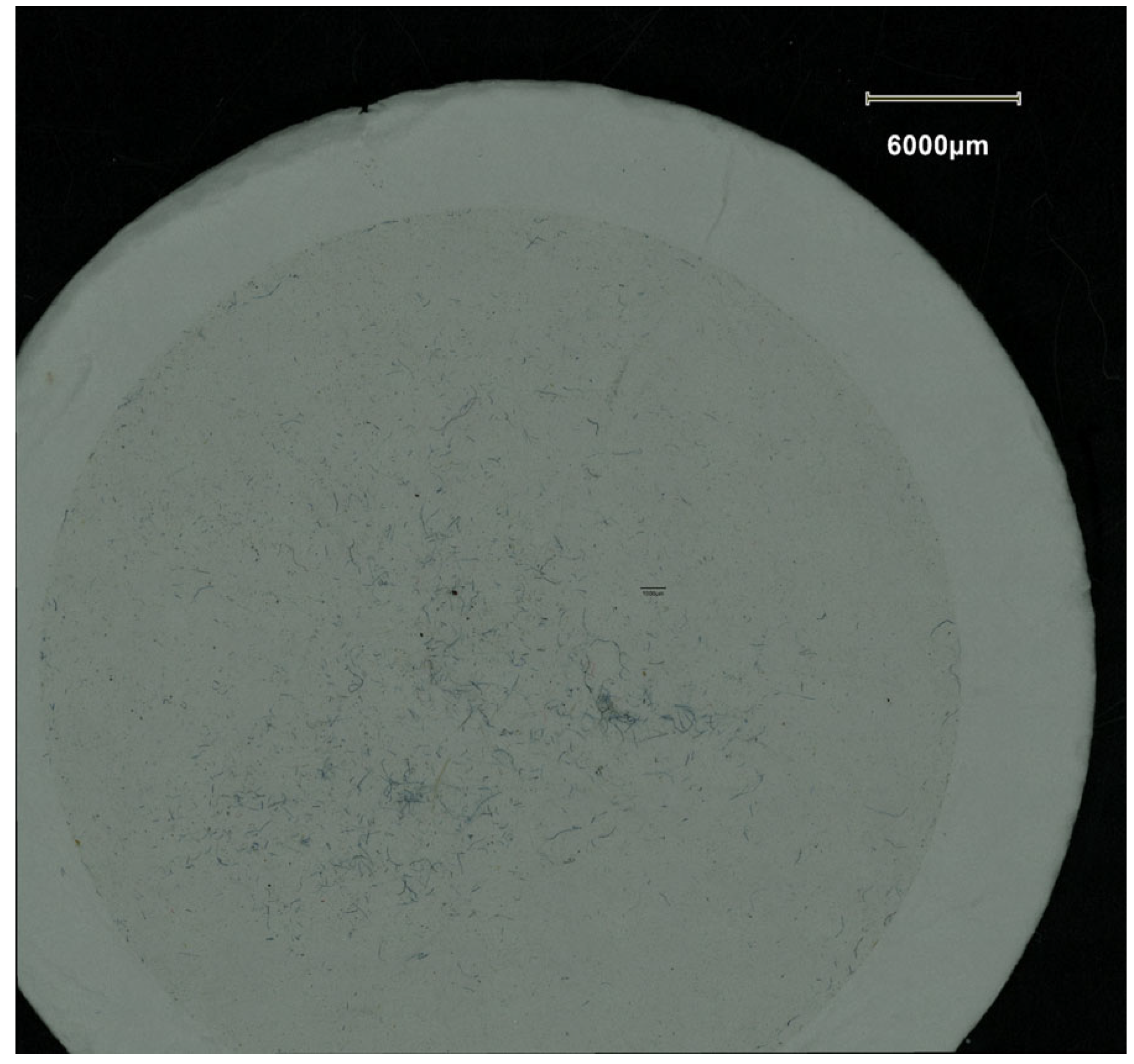 Fibers 13 00166 g005