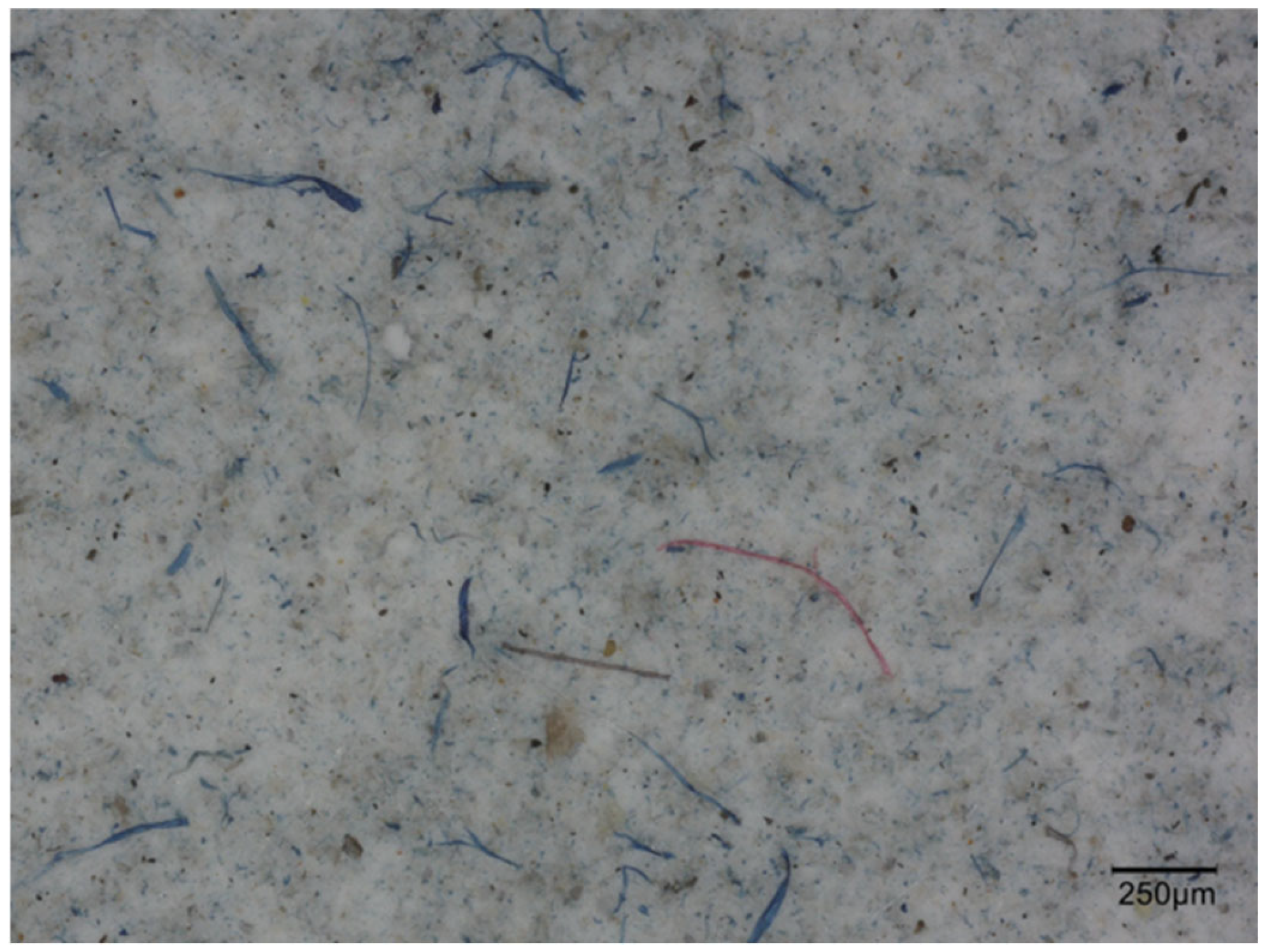 Fibers 13 00166 g006