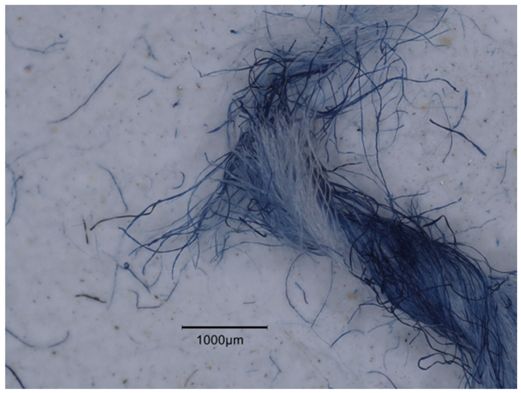 Fibers 13 00166 g007
