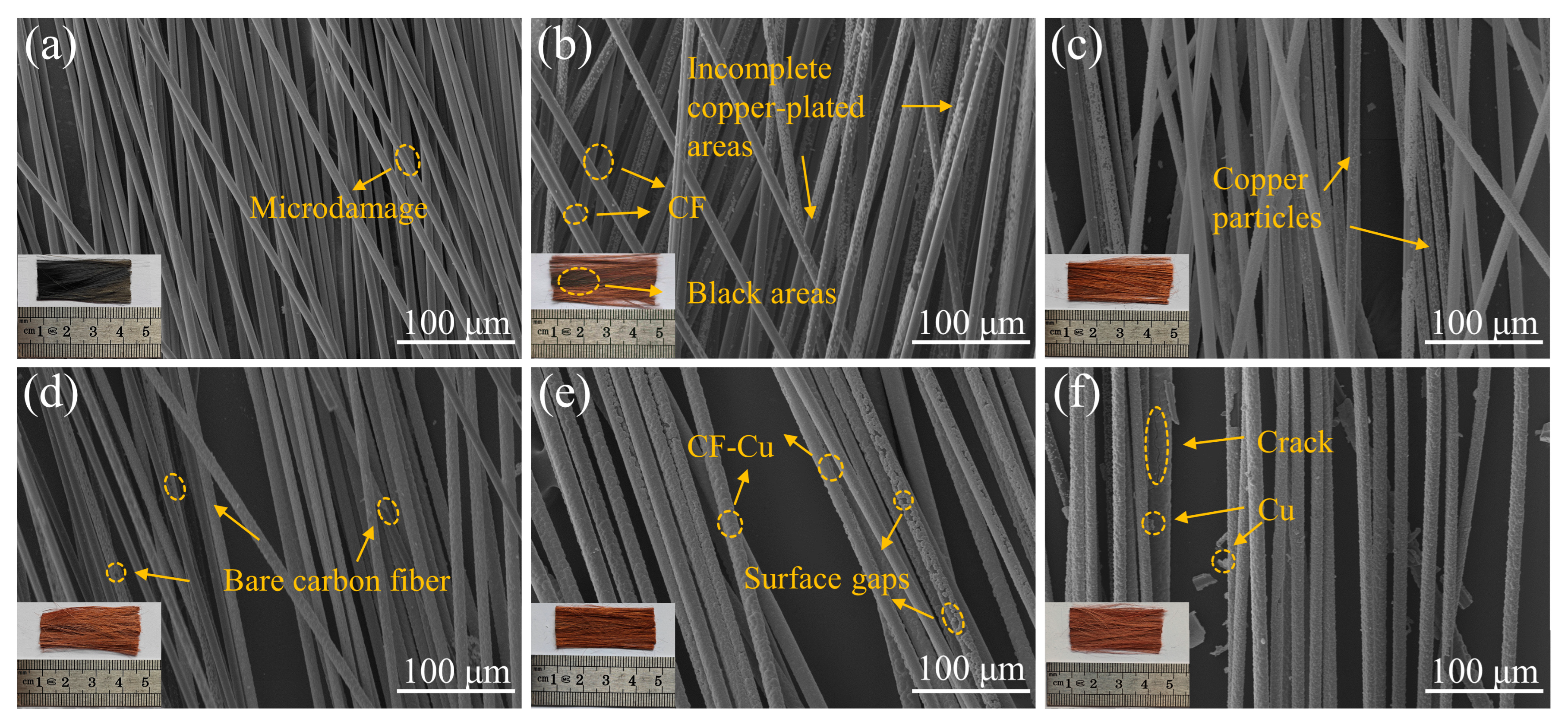Fibers 14 00005 g001