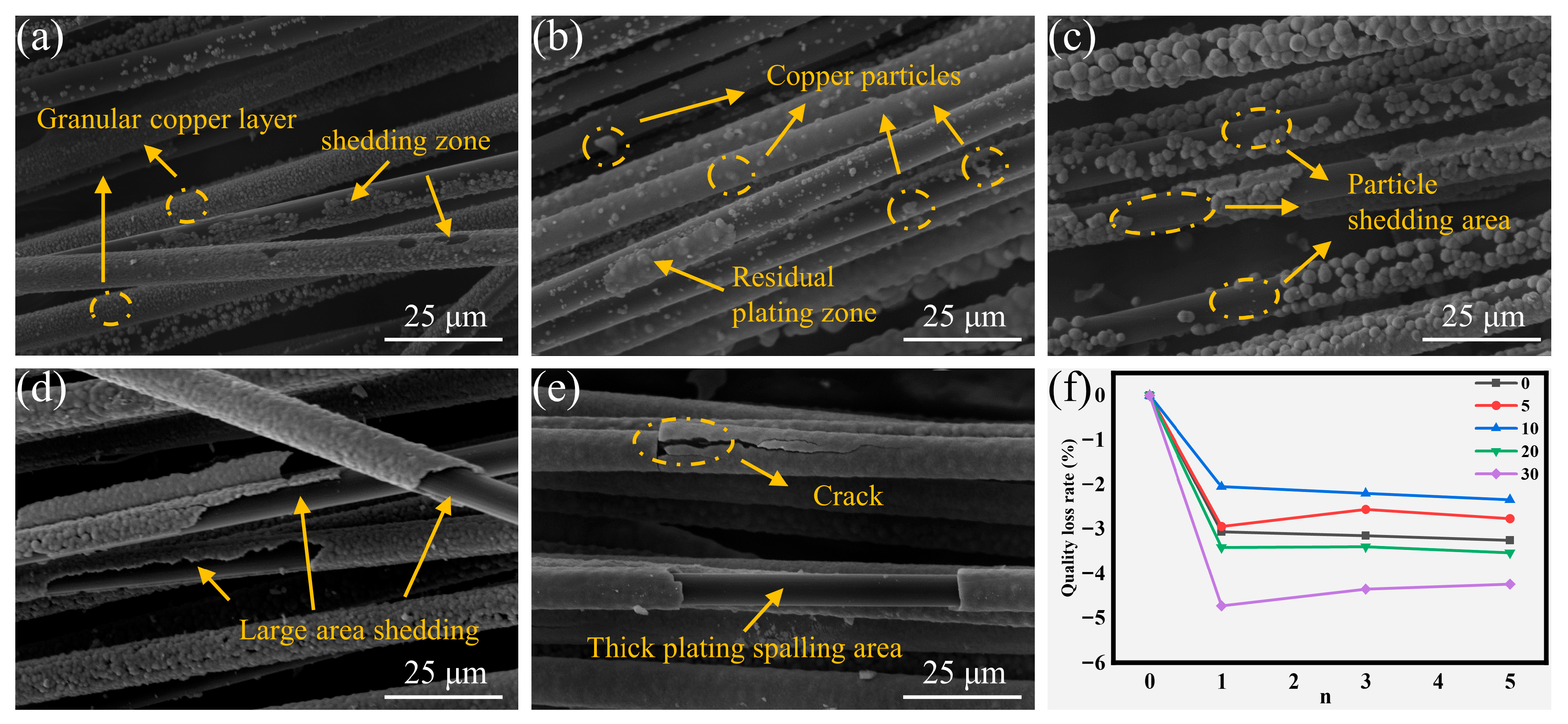 Fibers 14 00005 g006
