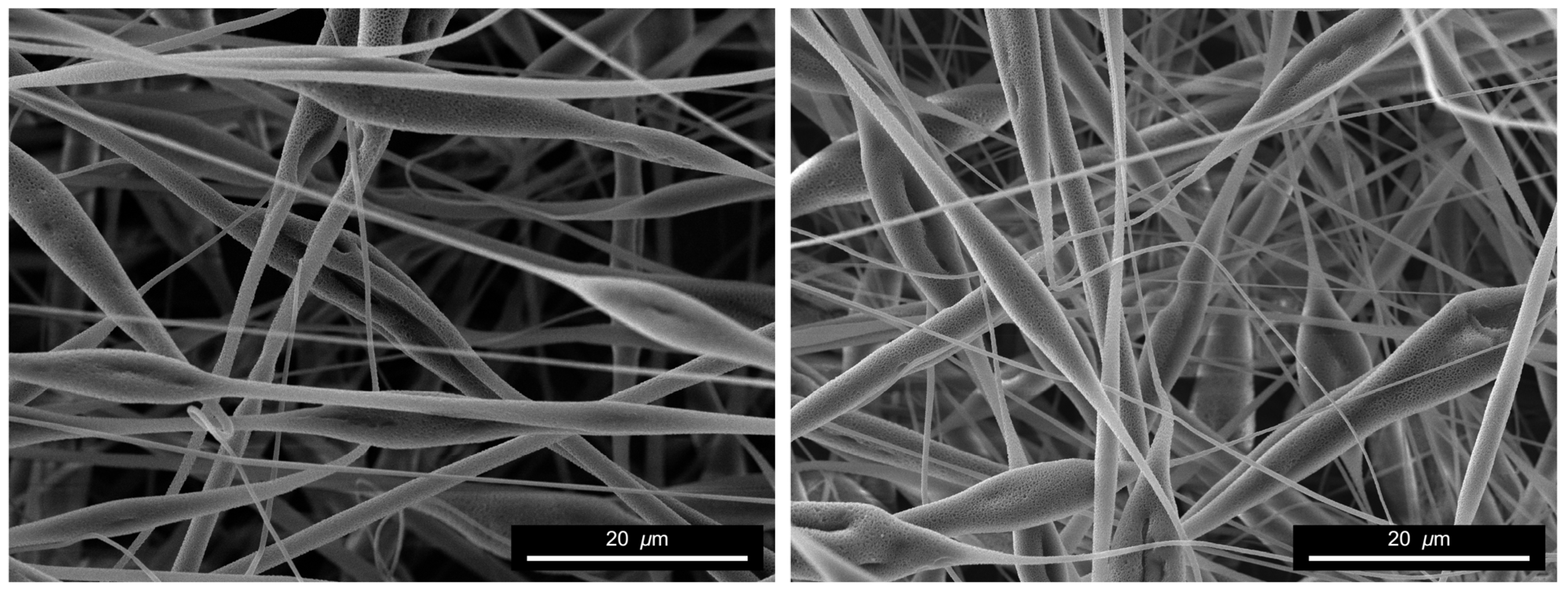 Fibers 14 00006 g004