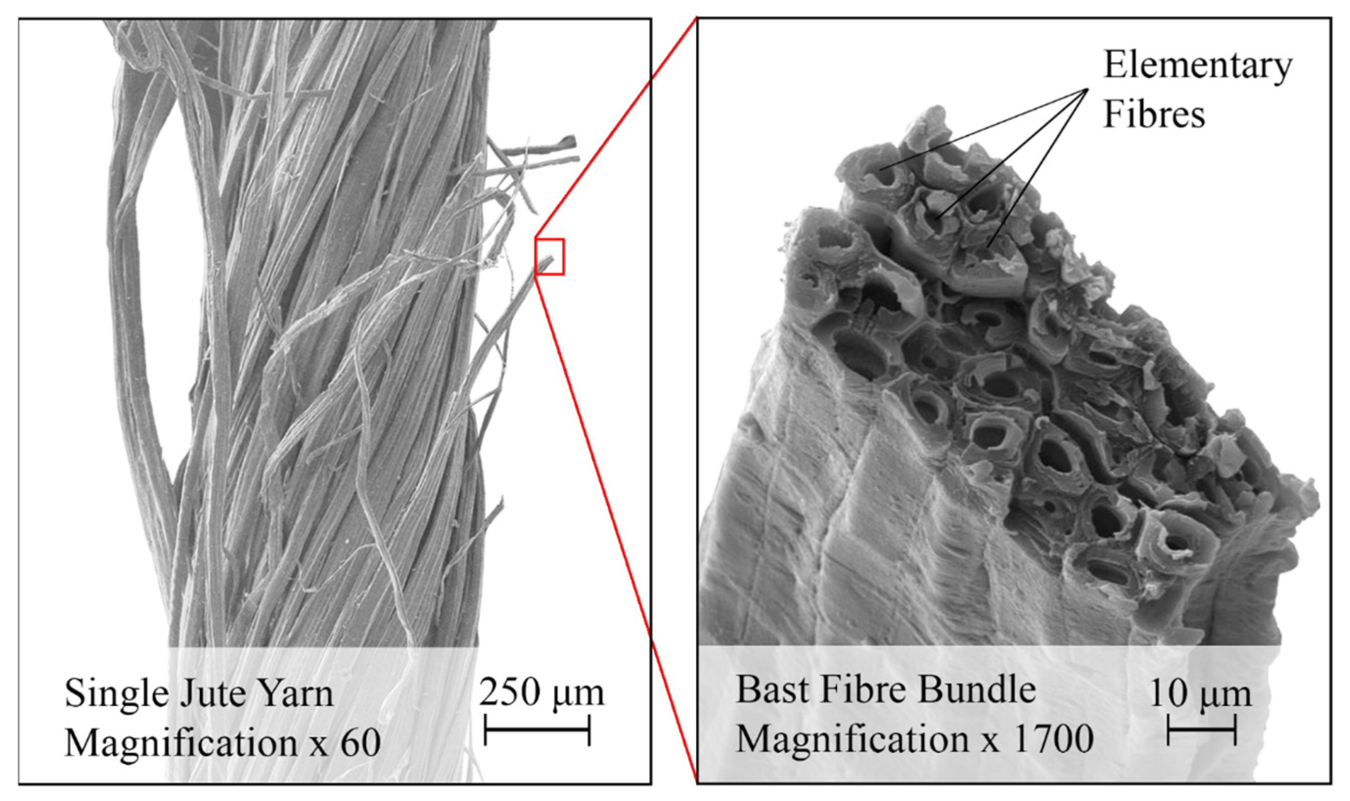 Fibers 14 00013 g004