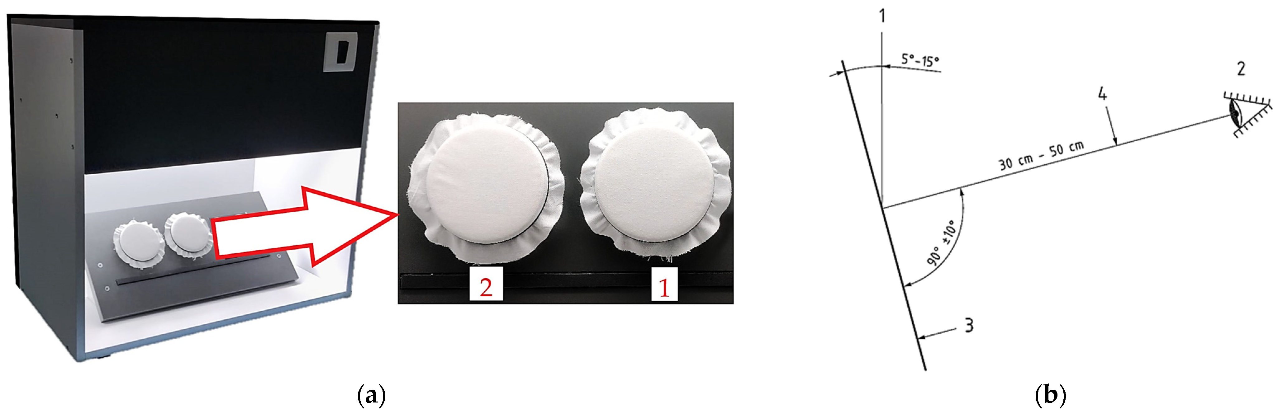 Fibers 14 00021 g002