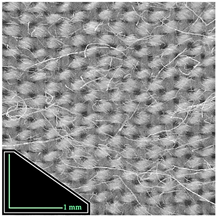 Fibers 14 00021 i001