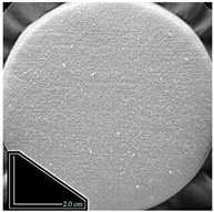 Fibers 14 00021 i013