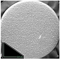 Fibers 14 00021 i023