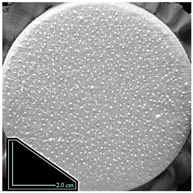 Fibers 14 00021 i024