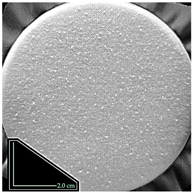 Fibers 14 00021 i025