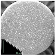 Fibers 14 00021 i028