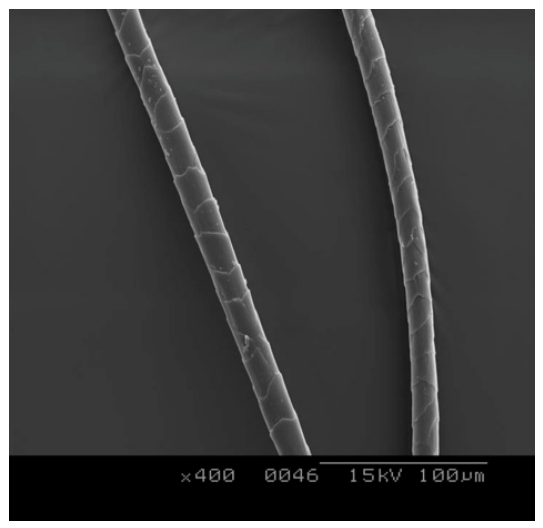 Fibers 14 00057 g004 Fibers 14 00057 g004