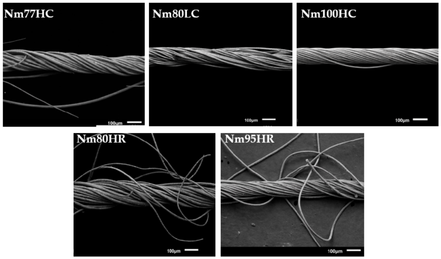 Fibers 14 00057 g018 Fibers 14 00057 g018