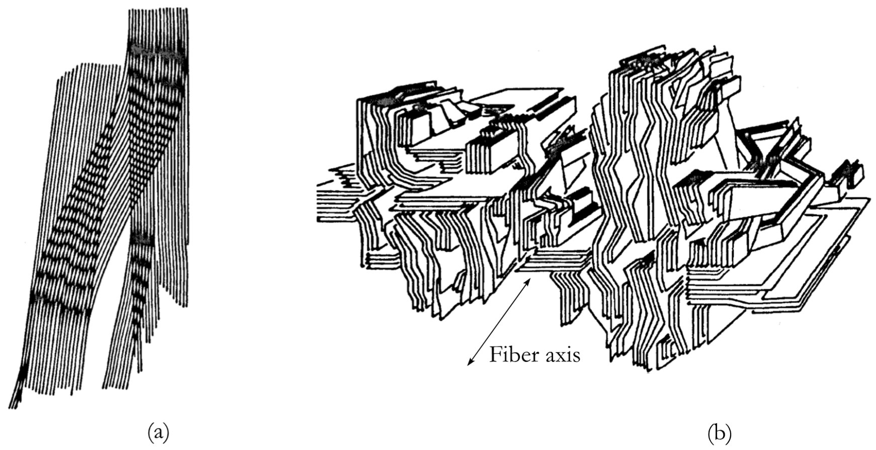 Fibers 14 00083 g006