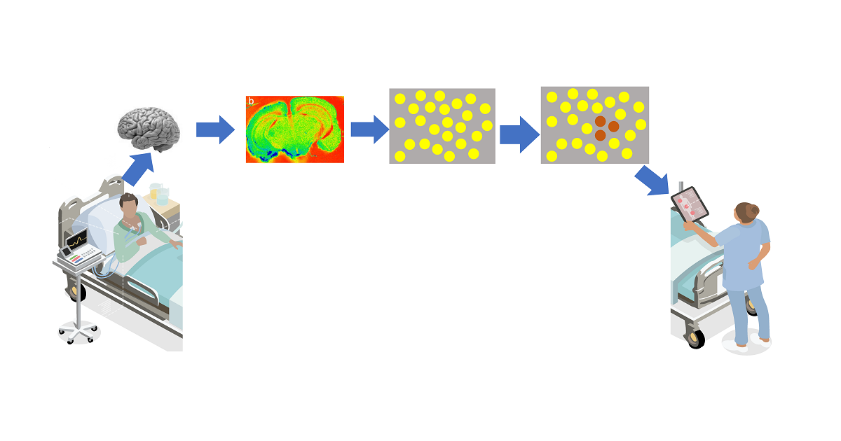 Graphical abstract