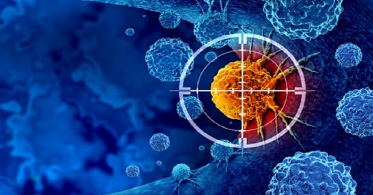 Graphical abstract