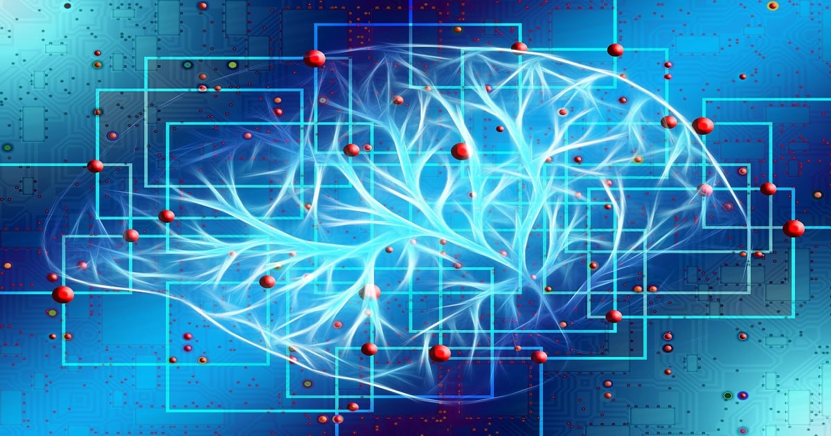 Graphical abstract