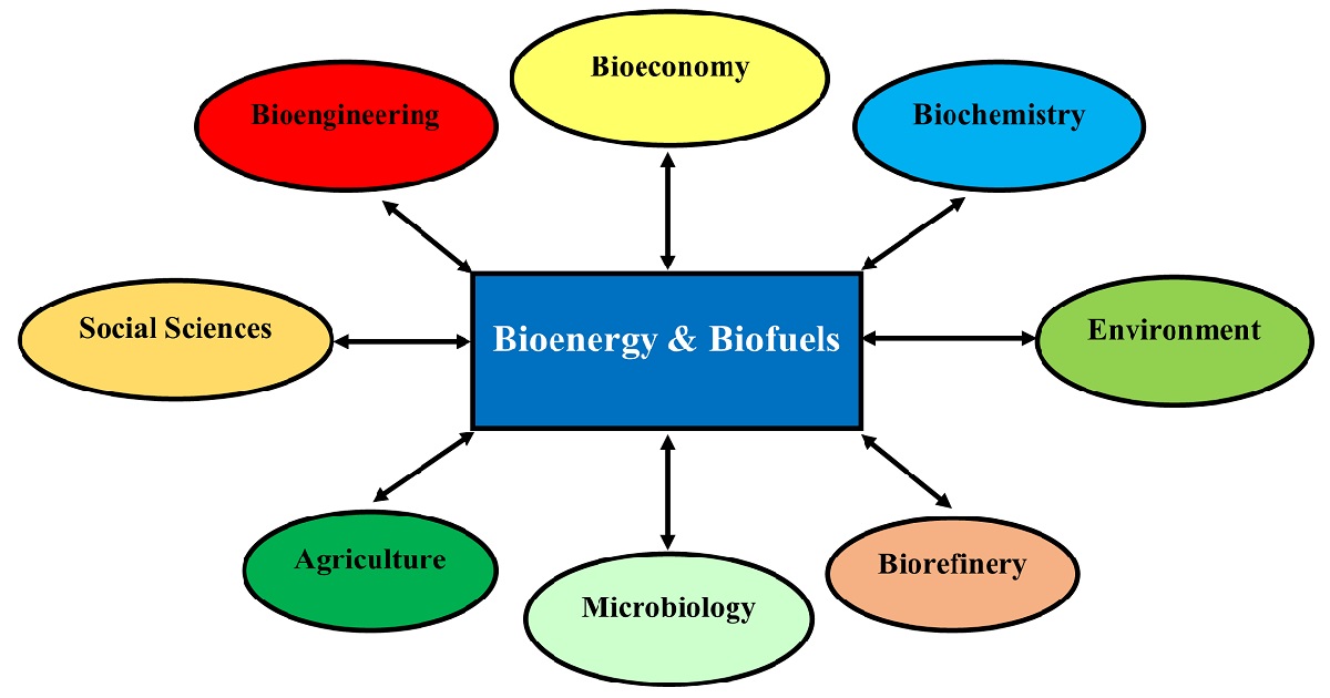 Graphical abstract