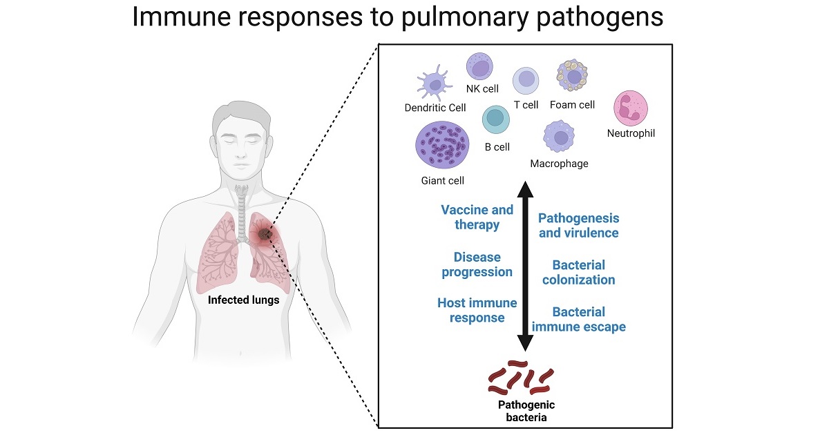 Graphical abstract - The image was created using Biorender.com.