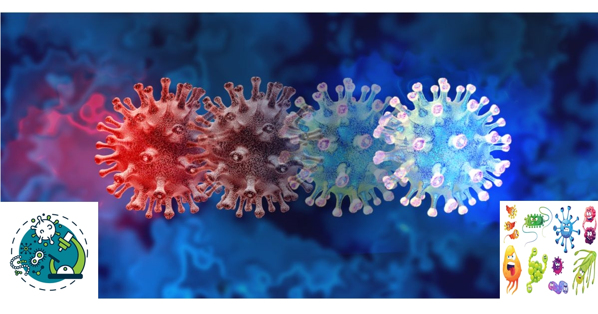 Graphical abstract