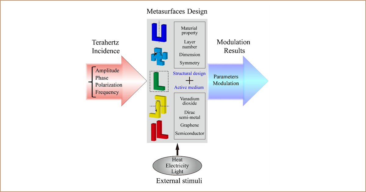 Graphical abstract