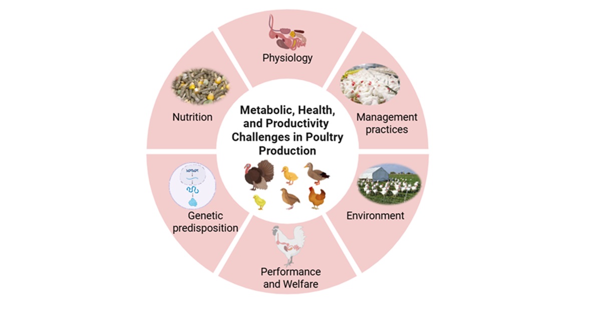 Graphical abstract - BioRender.com