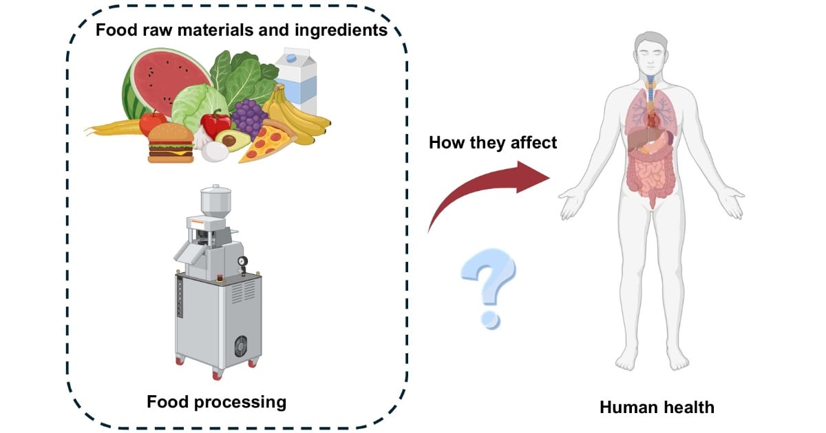 Graphical abstract