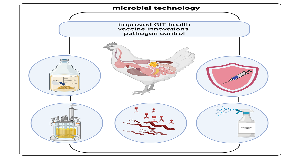 Graphical abstract