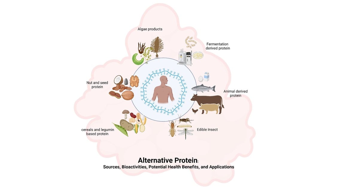 Graphical abstract