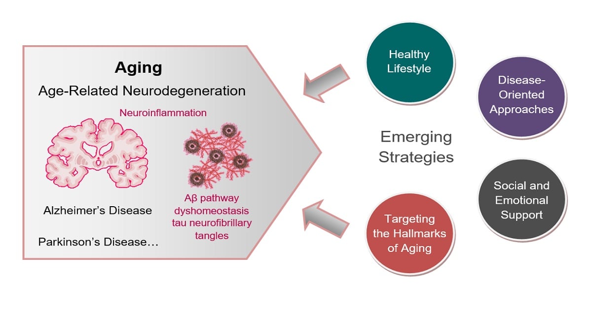 Graphical abstract
